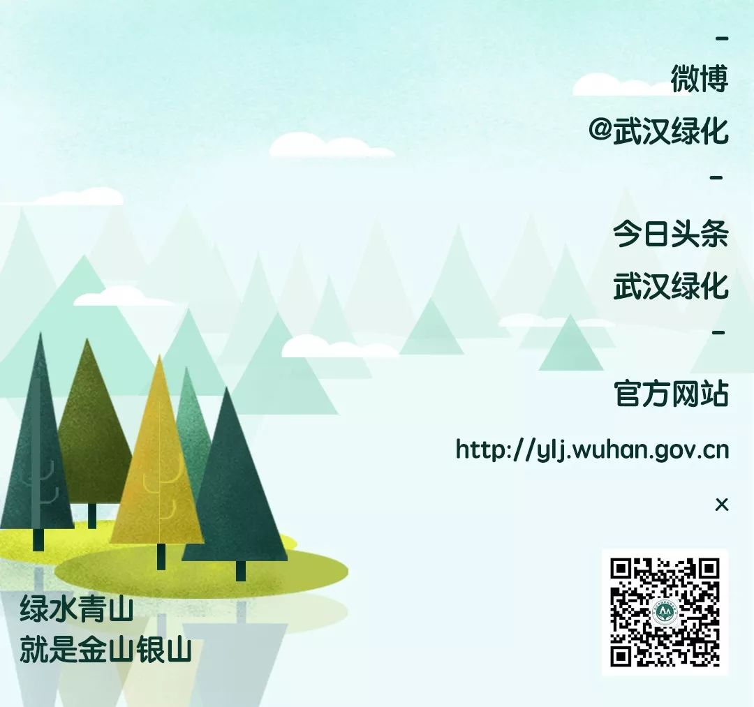 军运会开幕啦！去青山绿水间看比赛