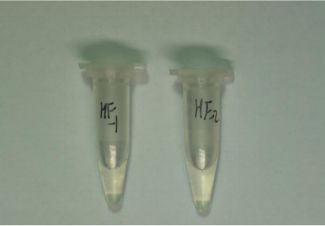 “我吸毒了，我妈喂的！”