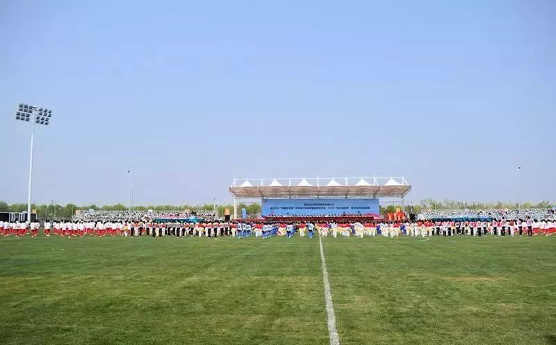 青岛亚洲杯球场,青岛积极申办足球杯