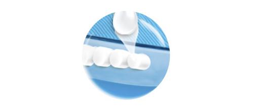 拼手速的奖励,史上最拼手速的小游戏