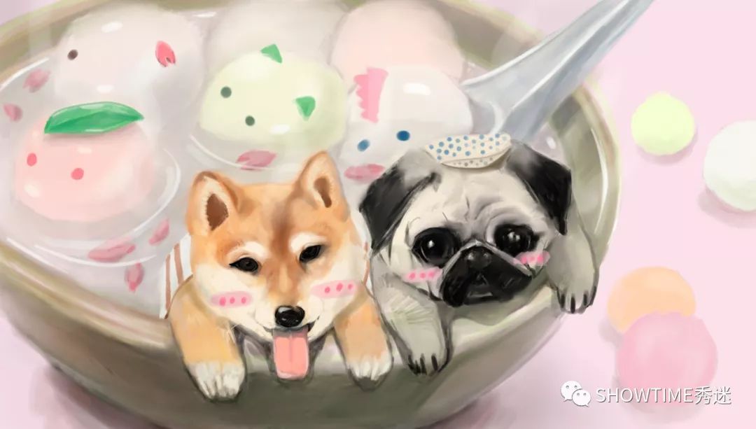 人类惹的祸为何让宠物来承担,人类犯下的错误不要让狗狗来买单