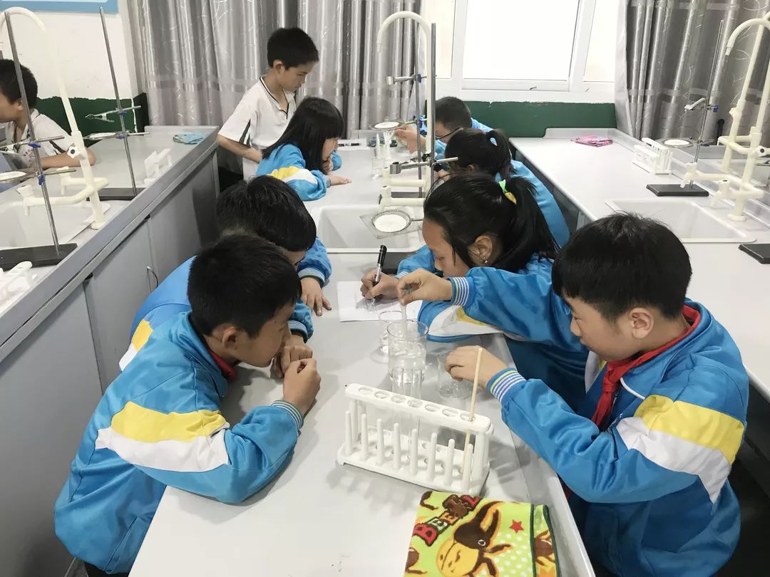 石棉县新棉小学直播,石棉县新棉小学2017级