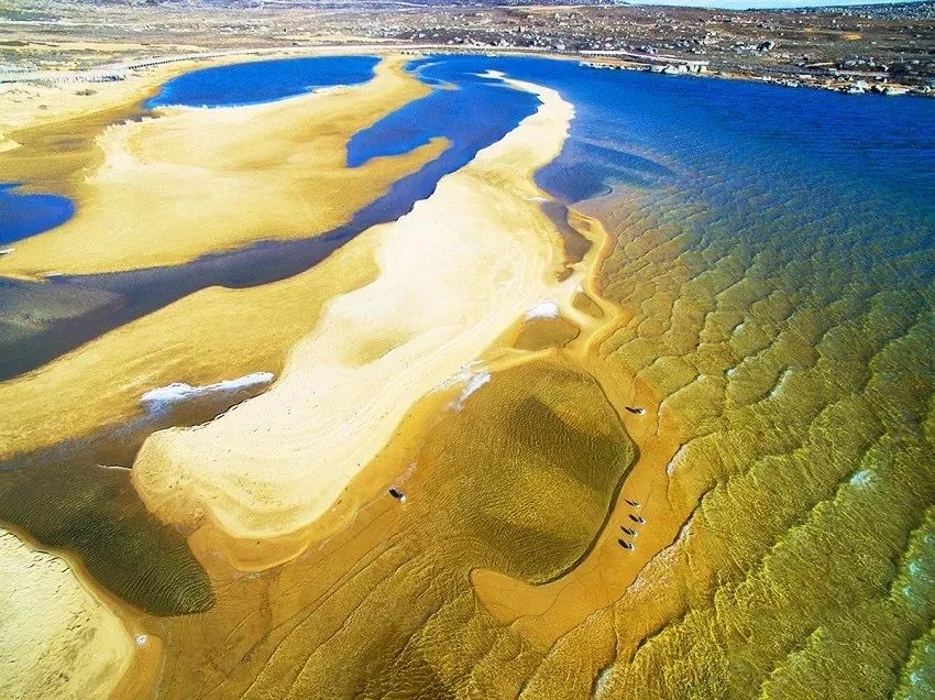 韩国麻辣烫哪里最好吃,风靡成都的麻辣烫