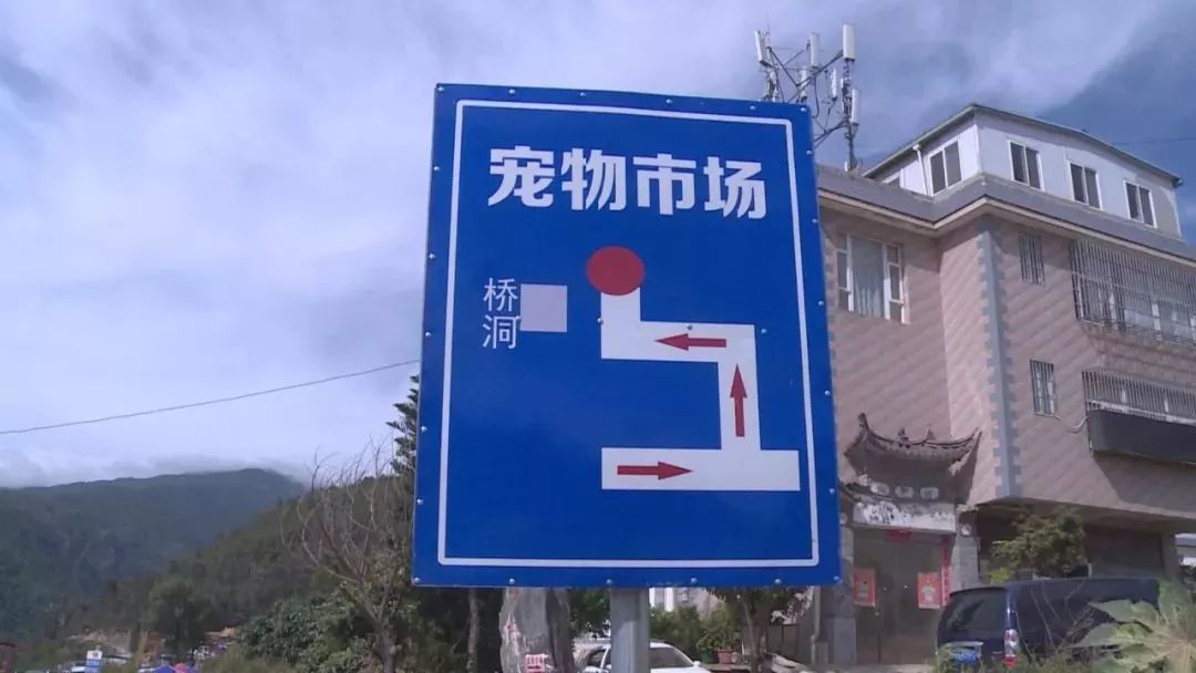 狗市下关,狗市搬迁