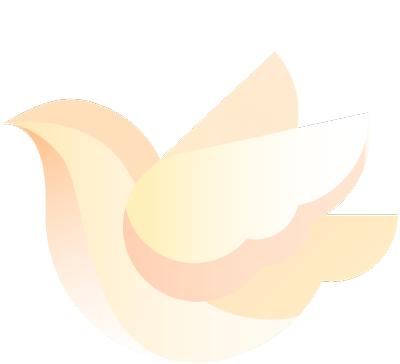 体彩公益金支持乡村振兴,体彩爱心公益