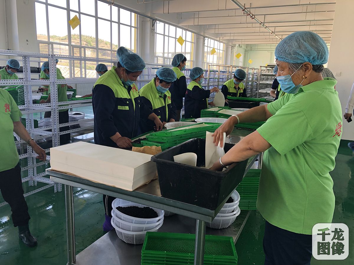 保定脱贫攻坚战,保定市京津冀扶贫协作