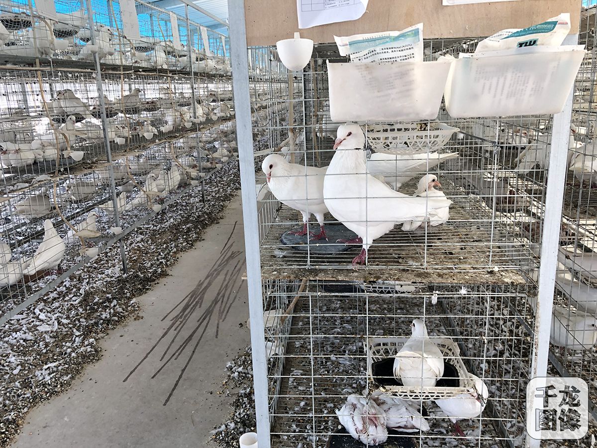 保定脱贫攻坚战,保定市京津冀扶贫协作