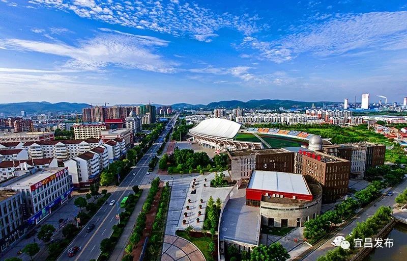 宜昌最好的茶是什么茶,宜昌茶有哪些品种好喝的