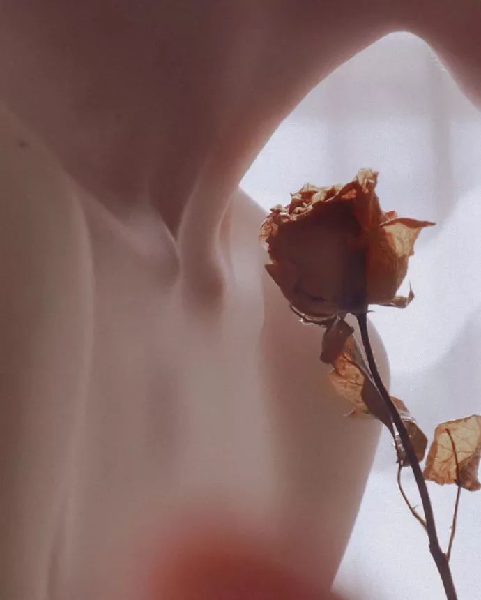 十二星座本周健康指南,十二星座的健康隐患