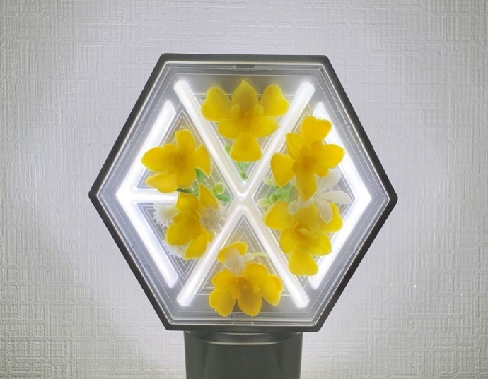 exo分享视频,exo分享的视频