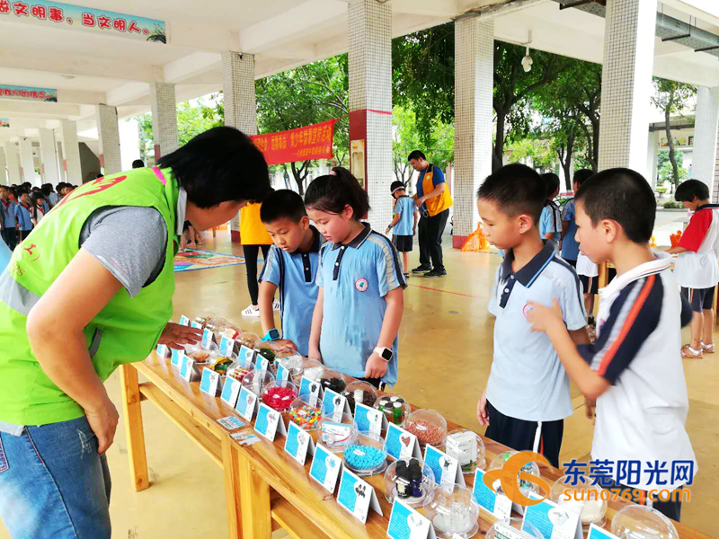 这东西比毒蛇更可怕!今天东莞各地花样“怼”它还专门建了个基地