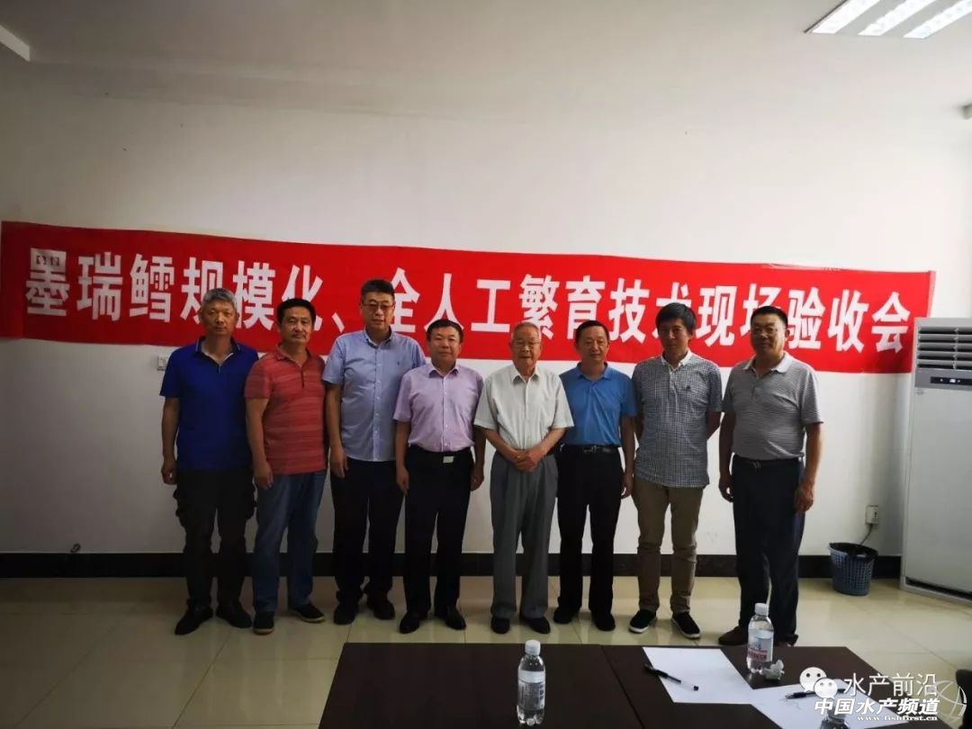 墨瑞鳕养殖成本,墨瑞鳕工厂化循环水养殖