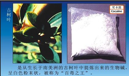 国际禁毒日毒品预防教育通知,626国际禁毒日禁毒知识学起来