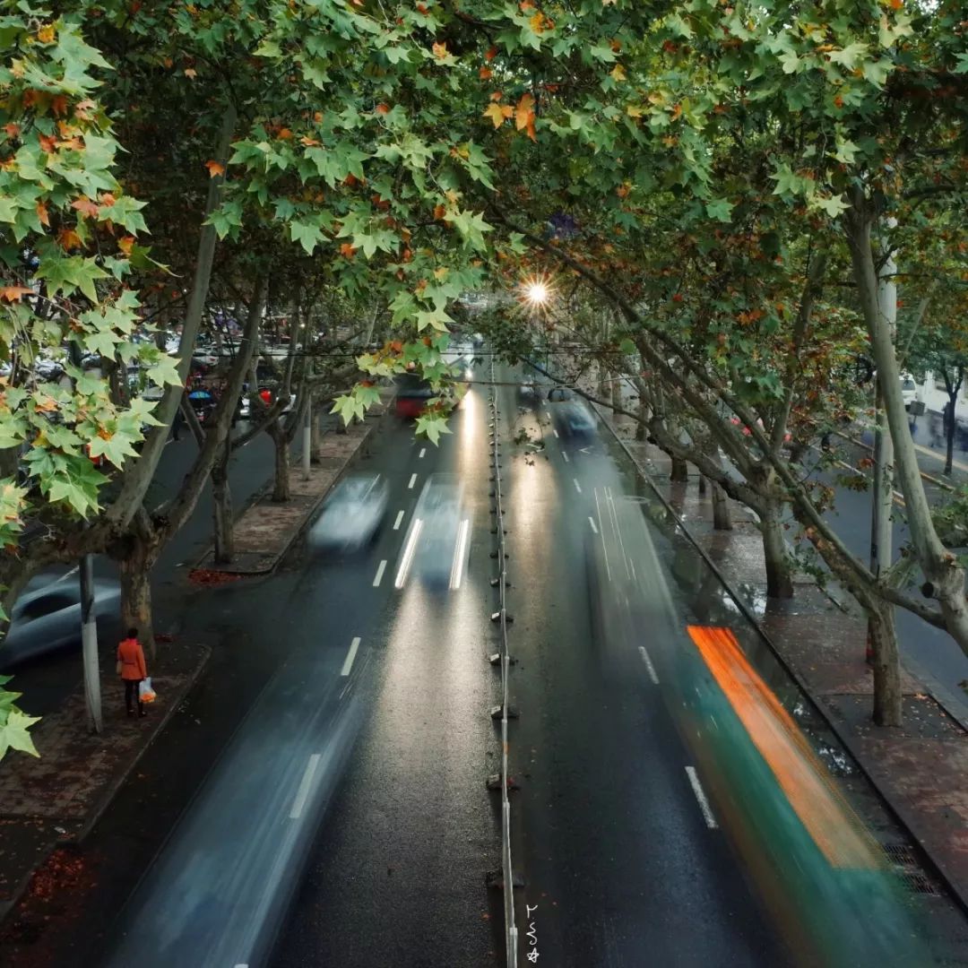 原来,西安还有这样一条“宝藏路”:友谊路