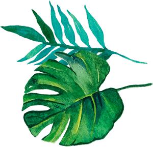 联通增值业务外包,联通增值业务外包项目