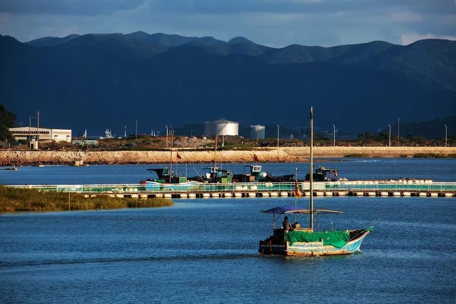 奉化人文与美景的交汇,奉化溪口有多美