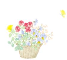 夜读人生随遇而安,美文晨读每日一读人生哲理