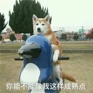 最新江苏全口径社会平均工资,江苏2023年平均工资出炉了吗