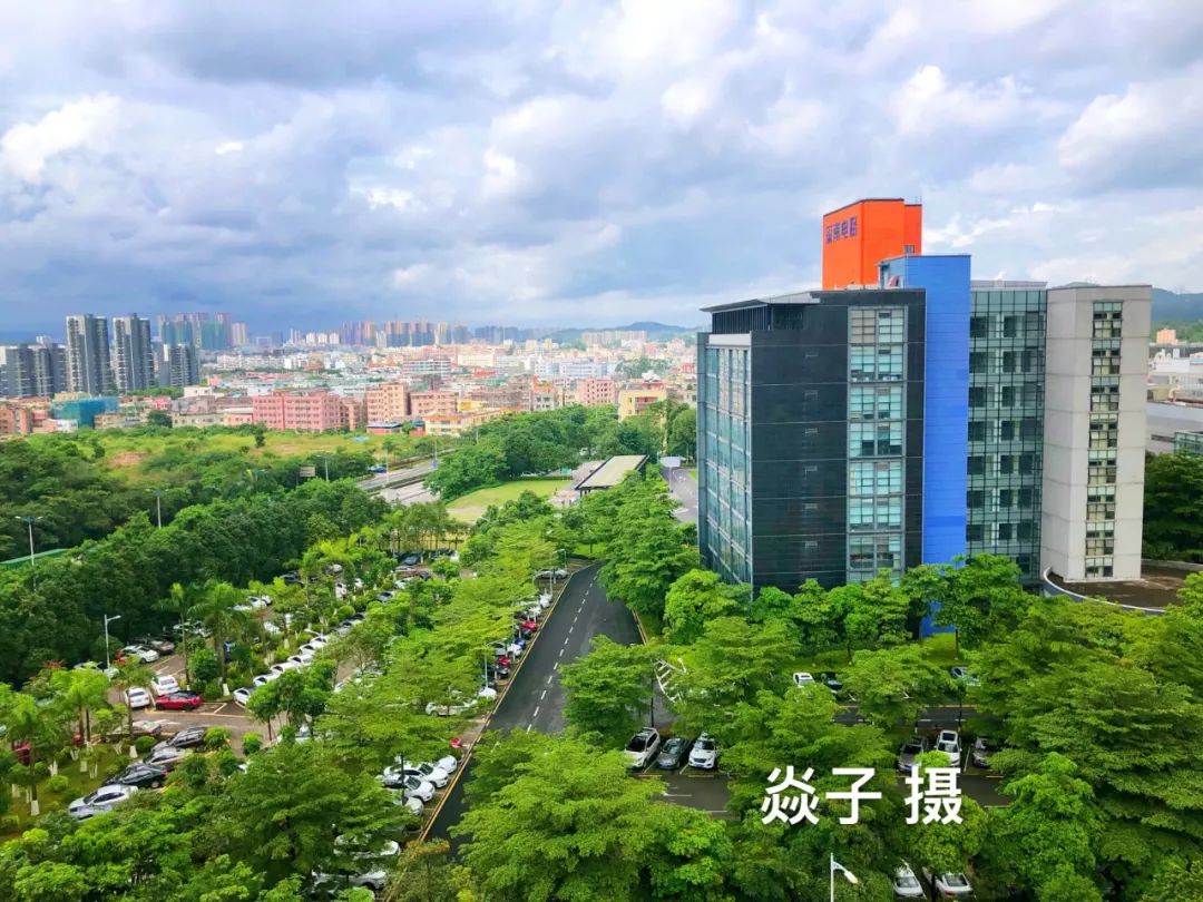 坪商有趣的企业名谜,看看有无你所在的公司