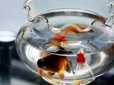 一把盐可以解决什么,一点盐就能解决食盐的问题