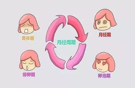 激素六项正常为啥月经还是不准,性激素6项女