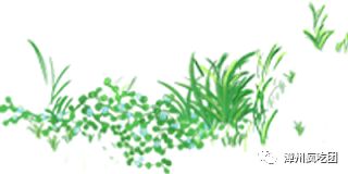 买一送一要在实体店买吗,买一送一奶茶漳州