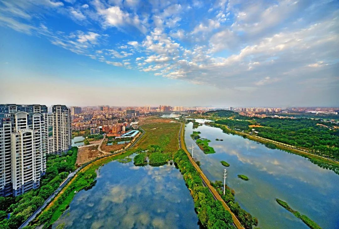 权威发布|这样的花都,太上头了!
