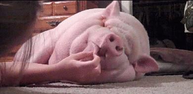 午睡虽好但别趴着睡损伤身体,注意办公室午休千万别趴着睡