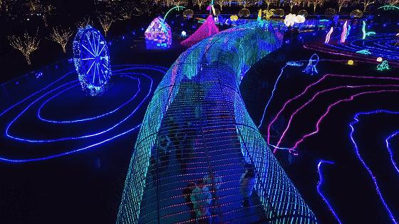 七夕相约天空鹊桥,七夕相约海边