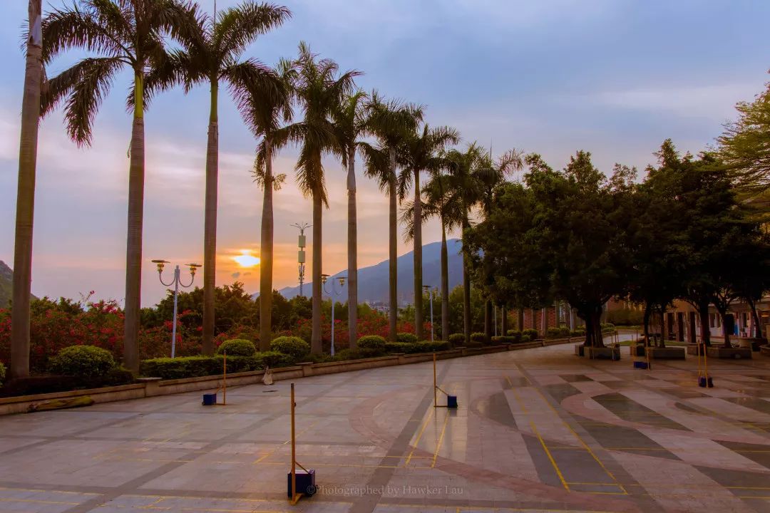 内外兼修的美才是真正的美,内外兼修的美丽