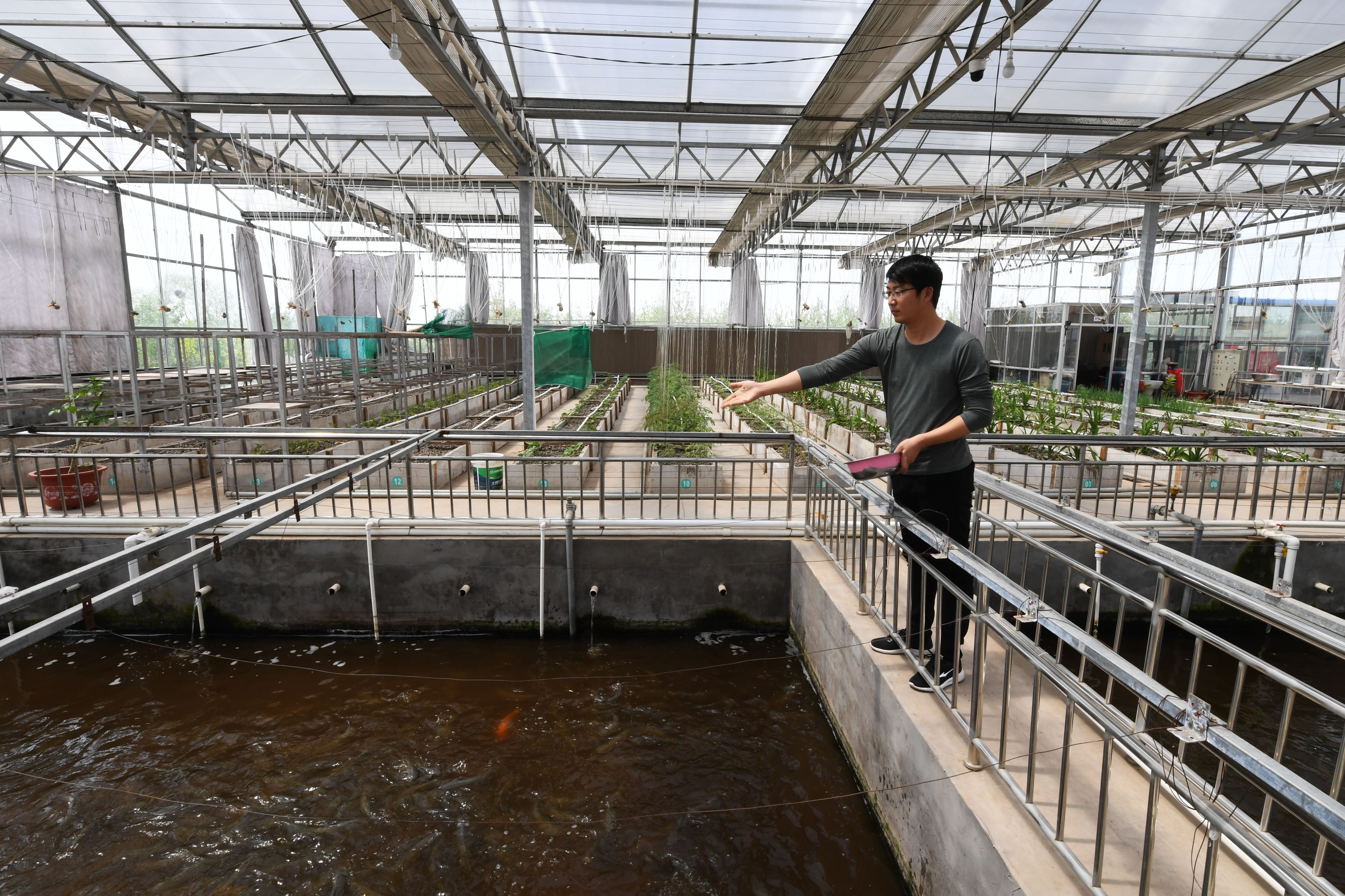 乡村振兴怎么让外出务工人员返乡,大学生返乡创业乡村振兴例子