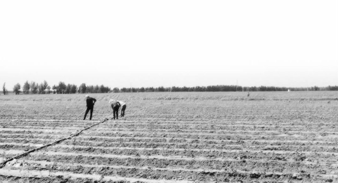 利用股指期货可以规避系统性风险,利用期权对冲期货交易风险