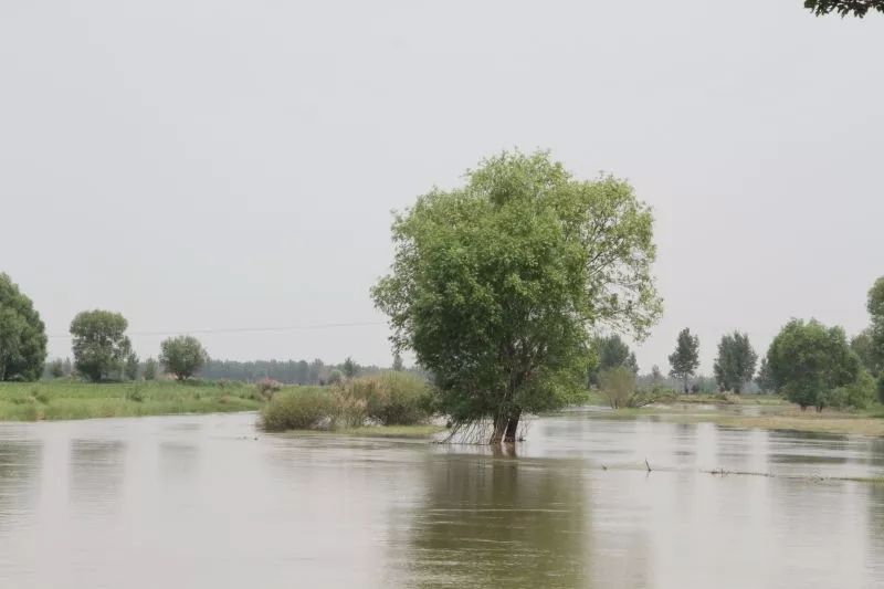 太阳升起在桑干河上,太阳照在了桑干河上朗读