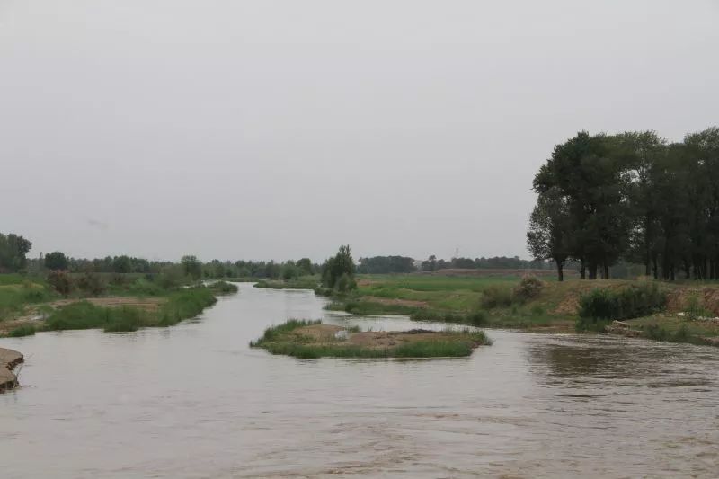 太阳升起在桑干河上,太阳照在了桑干河上朗读