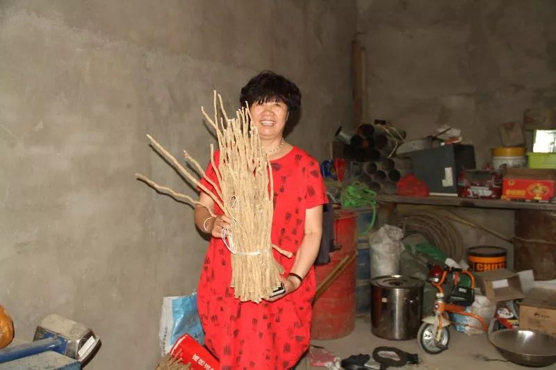 太阳升起在桑干河上,太阳照在了桑干河上朗读