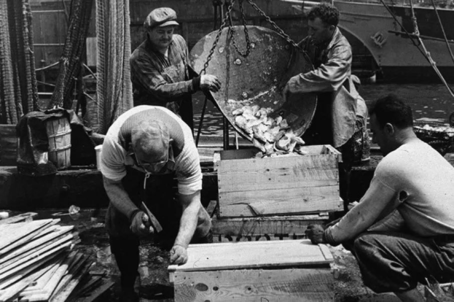 黑帮的穷途末路,黑道家族的崛起和衰败