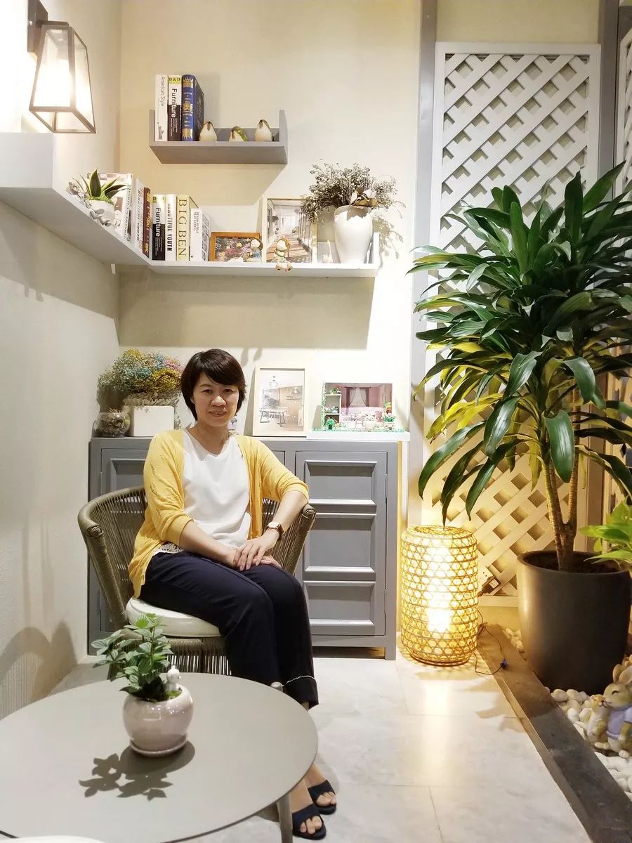 懒猫木阳台简介,懒猫木阳台的前景