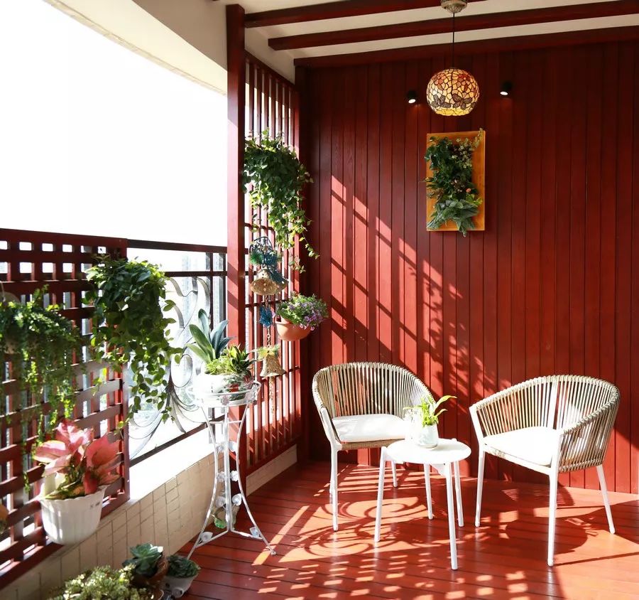 懒猫木阳台简介,懒猫木阳台的前景