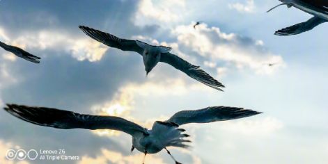 z6摄像头很模糊,联想z6摄像头拍照样张