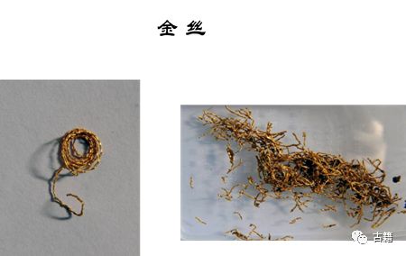 河南考古曹操墓,河南新郑赵超