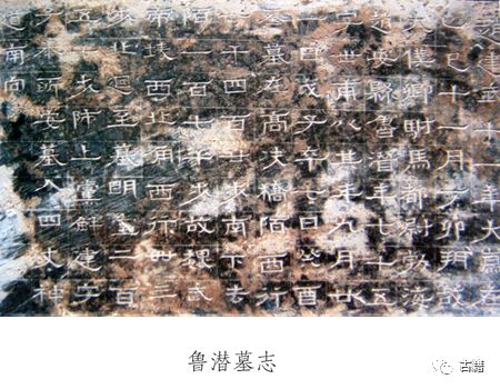 河南考古曹操墓,河南新郑赵超