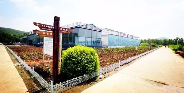 黑龙江省十大院校,黑龙江省十大高职院校排名