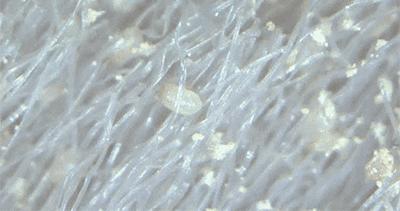 干净毛巾图片,干净的毛巾和脏的毛巾对比图片