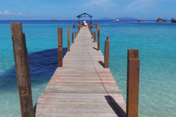 马来西亚留学签证流程,马来西亚一年签证费用