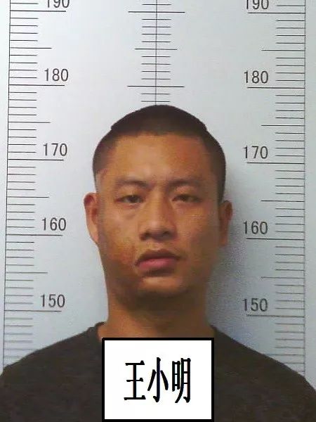 王蕾涉黑案公审判决,关于公开征集涉黑涉恶