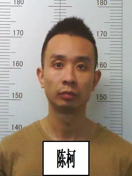 王蕾涉黑案公审判决,关于公开征集涉黑涉恶