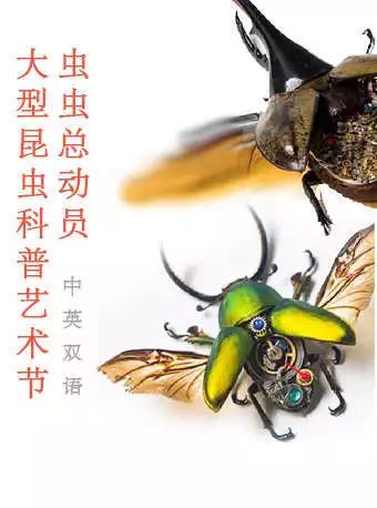 填志愿的时候想着离家越远越好,填完志愿要不要快点提交