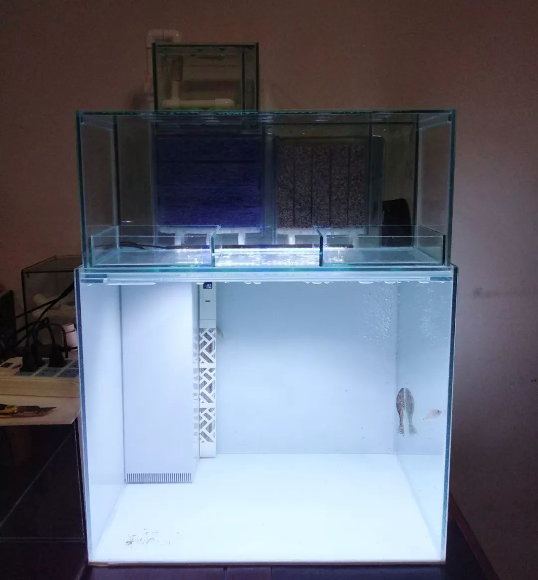 大神「鱼勇」DIY一缸多用“直播”教程，好缸无需再等