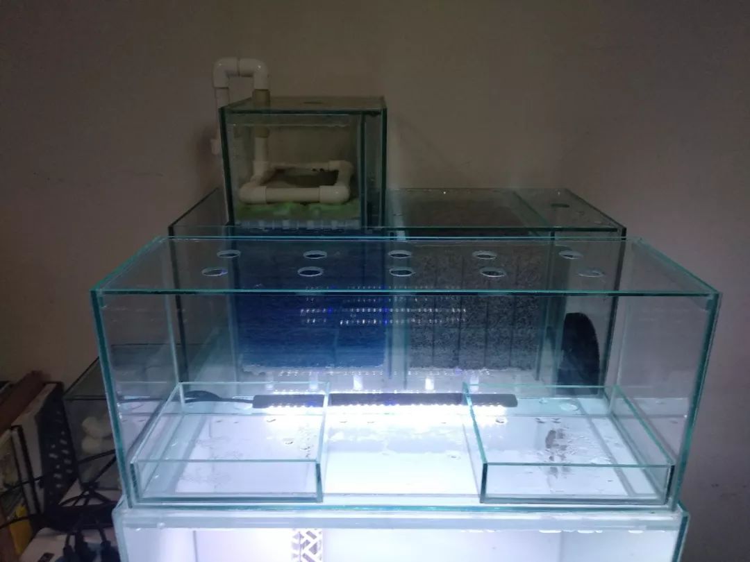 大神「鱼勇」DIY一缸多用“直播”教程，好缸无需再等