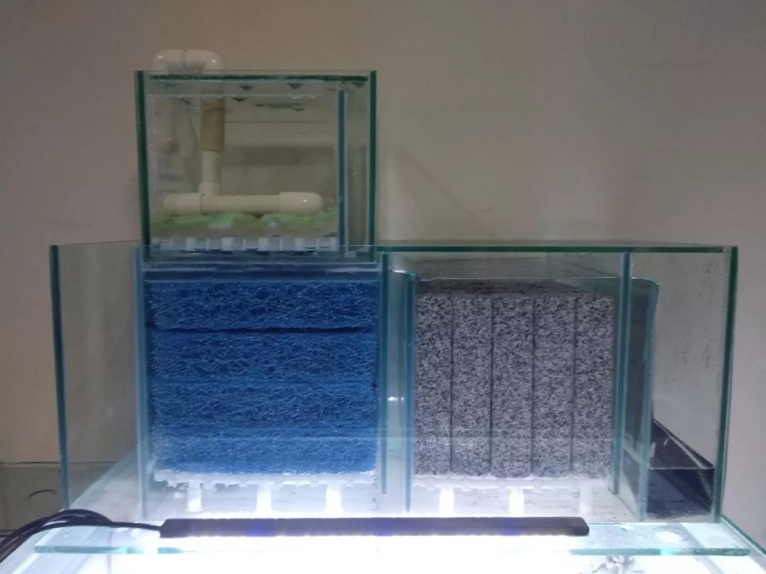 大神「鱼勇」DIY一缸多用“直播”教程，好缸无需再等